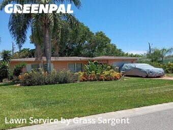 Lawn Mow nearby Dunedin, FL, 