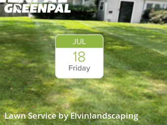 Yard Cutting nearby Bowie, MD, 