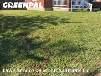 Lawn Cut nearby Dundalk, MD, 