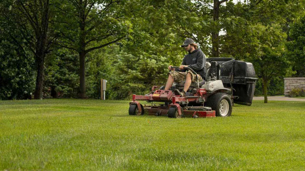 How to compare lawn care quotes (prices + reviews)