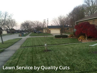 Lawn Maintenance nearby Sterling Heights, MI, 