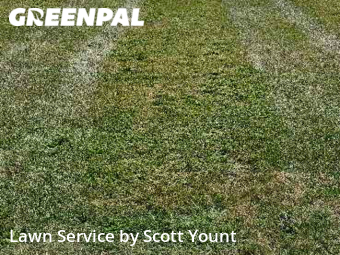 Lawn Mow nearby Freeport, IL, 