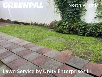 Lawn Maintenance nearby Virginia Beach, VA, 