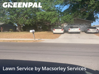 Grass Cut nearby Cape Coral, FL, 
