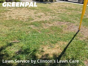 Lawn Maintenance nearby Seminole, FL, 