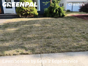 Lawn Cutting nearby Grand Rapids, MI, 