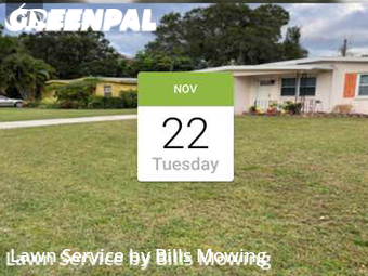 Yard Cutting nearby Largo, FL, 