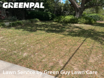 Grass Cutting nearby Temple Terrace, FL, 