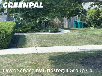 Yard Cutting nearby Beach Park, IL, 