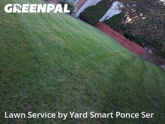 Lawn Care Servicein Aurora,60504,Lawn Mowing Service by Yard Smart Ponce Ser, work completed in Jul , 2026