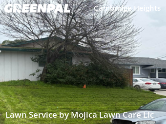 Work completed by local-lawn-and-landscape-maintenance-services-near-me-in-Citrus Heights-CA