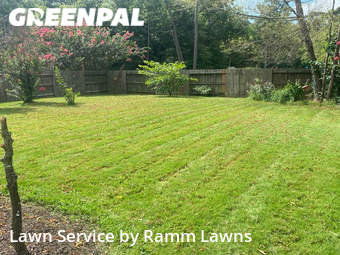 Lawn Cut nearby Conroe, TX, 