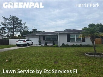 Grass Cut nearby St. Petersburg, FL, 