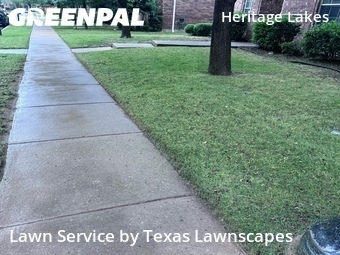 Yard Cutting nearby Frisco, TX, 
