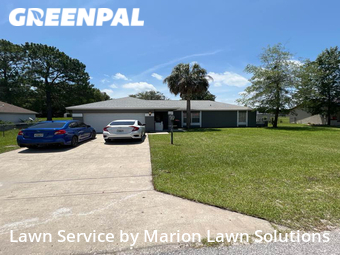 Grass Cutting nearby Ocala, FL, 
