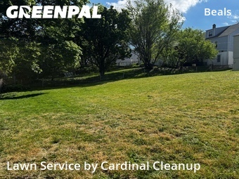 Lawn Mow nearby Omaha, NE, 