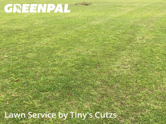Lawn Care Service nearby Valdosta, GA, 