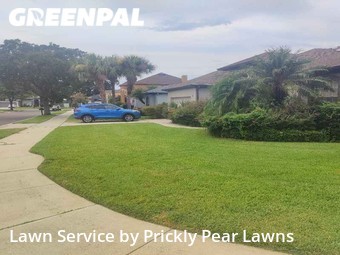 Lawn Cut nearby Winter Garden, FL, 