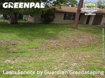 Yard Cutting nearby Fort Myers, FL, 