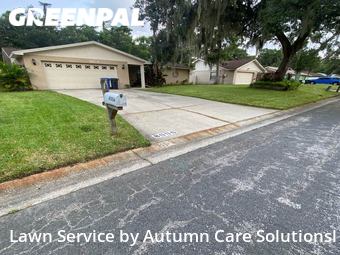 Lawn Mowing nearby Tampa, FL, 