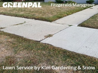 Lawn Service nearby Detroit, MI, 