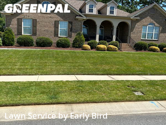 Grass Cutting nearby Matthews, NC, 