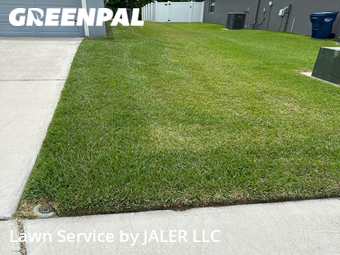 Lawn Mowing Service nearby Palmetto, FL, 