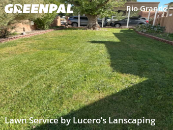 Grass Cut nearby Los Ranchos De Albuquerque, NM, 