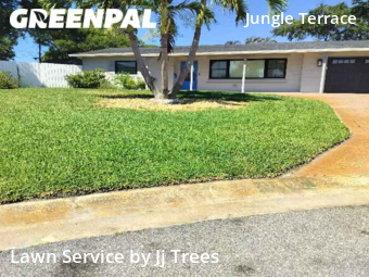 Yard Cutting nearby St. Petersburg, FL, 