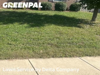 Yard Grooming in Bowling Green, 42104, Landscaping Maintenance by Delta Company , work completed in Nov , 2025