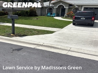 Yard Cutting nearby Royal Palm Beach, FL, 
