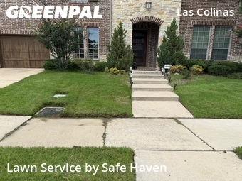 Landscaping Maintenance In Irving,75063,Landscaping by Safe Haven, work completed in Jun , 2026