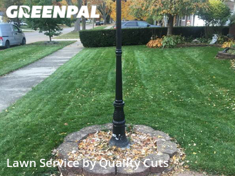 Lawn Cutting nearby Troy, MI, 