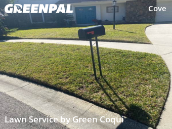 Yard Cutting nearby Tampa, FL, 