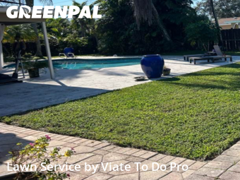 Grass Cuttingin Plantation,33313,Lawn Maintenance by Viate To Do Pro , work completed in Jan , 2026
