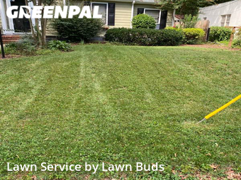 Yard Cutting nearby Charlotte, NC, 