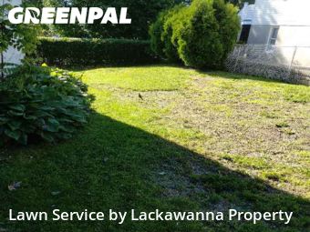 Lawn Mowing Service nearby Avoca, PA, 