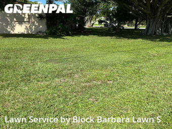 Lawn Mowing nearby West Palm Beach, FL, 