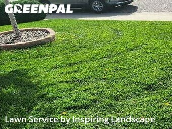 Lawn Mowin Lone Tree,80124,Yard Mowing by Inspiring Landscape, work completed in Nov , 2025