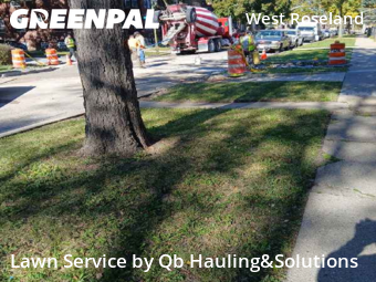 Yard Cutting nearby Chicago, IL, 