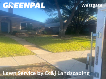 Lawn Mow nearby Plano, TX, 