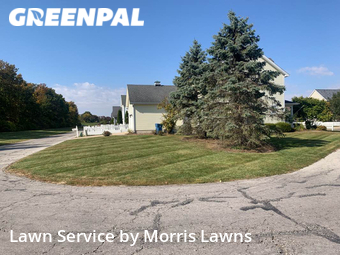 Lawn Care Service nearby Maumee, OH, 
