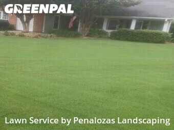 Lawn Cutting nearby Alpharetta, GA, 
