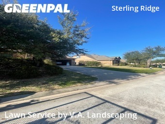 Lawn Cuttingin The Woodlands,77354,Lawn Cut by V.A. Landscaping, work completed in Oct , 2025