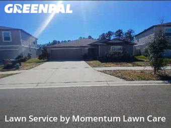 Yard Cutting nearby Zephyrhills, FL, 