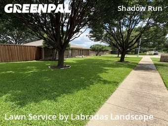 Grass Cuttingin Plano,75093,Lawn Cutting by Labradas Landscape, work completed in Jul , 2026