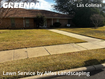 Landscaping Installation Irving,75038,Landscaping Maintenance by Alfas Landscaping, work completed in Jan , 2026