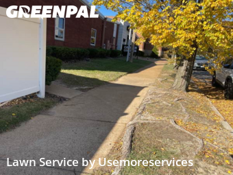 Yard Cutting nearby St. Louis, MO, 