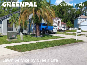 Lawn Maintenance nearby Wesley Chapel, FL, 