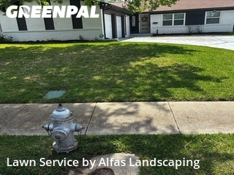 Landscaping Cleanup In Irving,75062,Landscapers by Alfas Landscaping, work completed in Apr , 2026